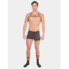 Barcode Berlin Short BYRON Laboratory Noir-Orange